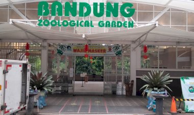 Bazoga Peringati Hari Raya Imlek Tanpa Barongsai