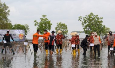 SAR Bandung Tanam 500 Bibit Mangrove di Pantai Pondok Bali, Subang