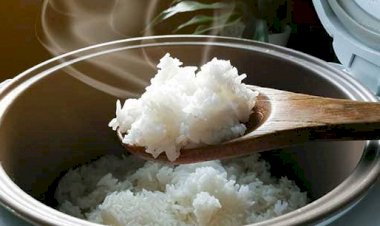 Penyebab Nasi Di Rice Cooker Cepat Basi