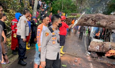 Polisi  Evakuasi Korban Tertimpa Pohon Tumbang Di Cikidang