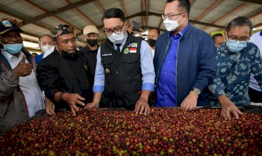 Begini Strategi Jabar Taklukan Dunia Lewat Kopi
