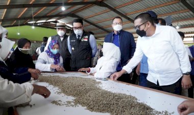 PT Astra Internasional Ekspor Kopi Jabar ke Belanda Capai Rp4 Miliar