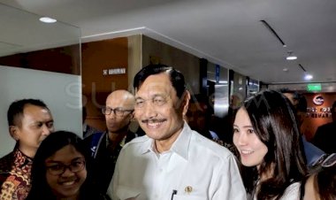Wuih..Menko Luhut Paling Tajir Pajaknya 35%