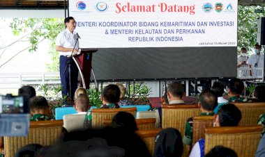 Luhut: Dansektor Pahlawan Yang Tidak Diketahui Orang