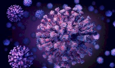Guru Besar IPB Mampu Hancurkan Virus Covid-19