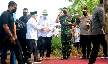 Wapres Terapkan Metode Penanaman Tumpang Sari di Purwakarta