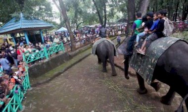 Info Baik, Wisata Bandung Zoo Banjir Diskon Bagi Pengunjung
