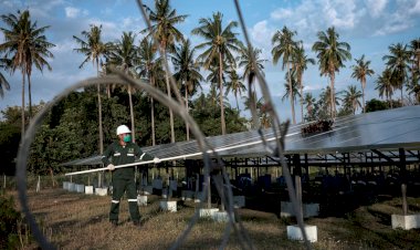 Begini Upaya PLN Jaga Kelestarian Bumi