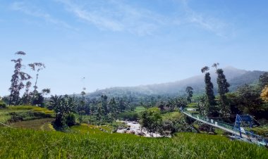 Ridwan Kamil Resmikan Jembatan Gantung Simpay Asih
