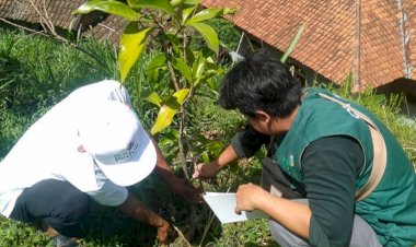 Wujudkan Lingkungan Hijau, PLN Kucurkan Rp90 Juta