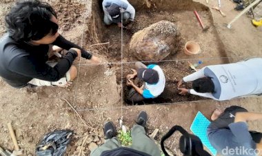 Begini Wujud Fosil Kura-kura Purba yang Ditemukan di Sumedang