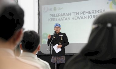 40 Persen Hewan Terdampak PMK di Jabar Sembuh