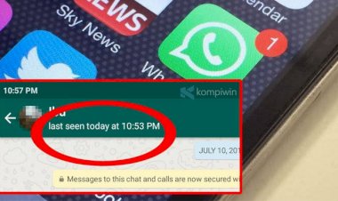 Kini,  WhatsApp Punya Fitur Sembunyikan dari Kontak Tertentu