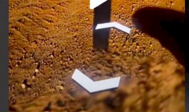 Google Earth Berhasil Tangkap Penampakan Bayangan Alien