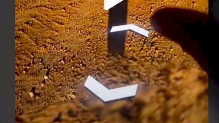Google Earth Berhasil Tangkap Penampakan Bayangan Alien