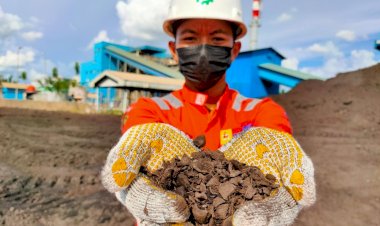 Biomassa Indonesia Bersaing di Pasar Internasional