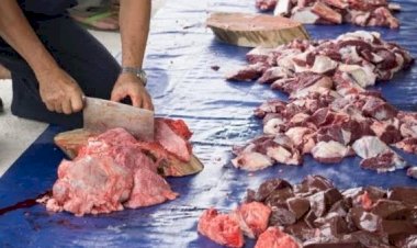 Siapa Saja yang Berhak Menerima Daging Kurban?