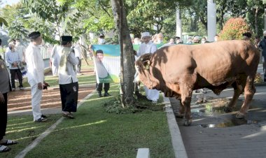 Distribusi Daging Kurban Pemprov Jabar Disalurkan Hingga Pelosok Desa