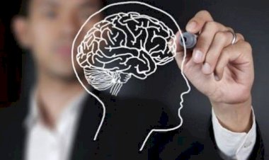 Tips Meningkatkan Kinerja Otak