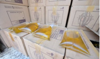 Harga Minyak Goreng Turun Terus