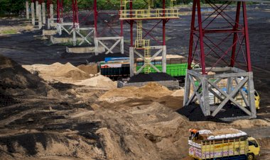 Biomassa Bakal Jadi Pertumbuhan Ekonomi Baru