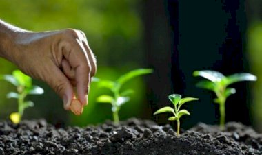 Aplikasi Serbet Panon Jabar Mampu Cegah Gratifikasi