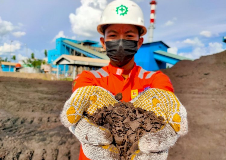 Biomassa Indonesia Bersaing di Pasar Internasional