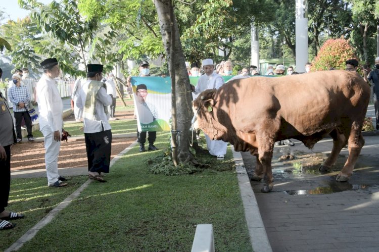 Distribusi Daging Kurban Pemprov Jabar Disalurkan Hingga Pelosok Desa