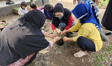 Saat Emak-emak Punya Peluang Usaha Bunga Chamomile