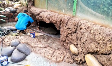 Bandung Zoo Targetkan Renovasi Kadang Hewan Dua Tahun