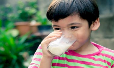 Susu Kental Manis Picu Diabetes Anak?