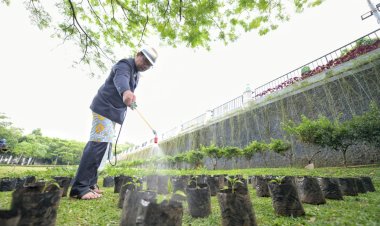 Puluhan Ribu Bibit Cabai dan Bawang Merah Gratis Bagi Warga Jabar