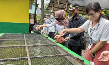Pentingnya  Pengelolaan Sampah Organik