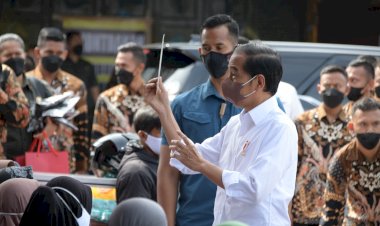 Jokowi: Dua Minggu Lagi Harga Turun