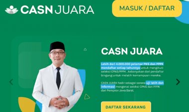 Mau Jadi PNS? Yuk Coba Tryout Online CASN Juara