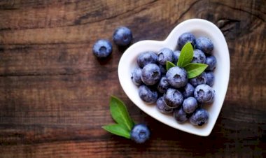 Makanan untuk Detoks Ginjal, Makin Optimal Saring Darah Kotor