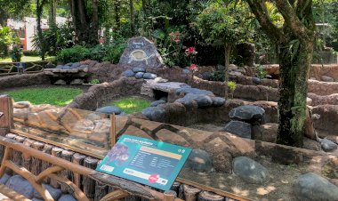 Bandung Zoo Punya Komplek Kura-Kura Baru