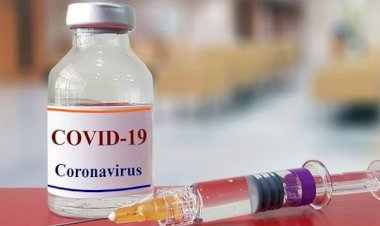BPOM: Vaksin Indovac dan Vaksin AWcorna Sudah Dapat Fatwa Halal MUI