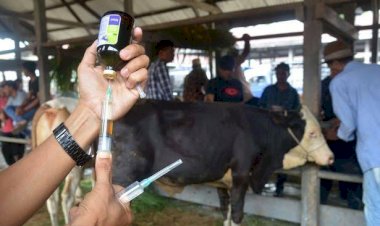 Tasikmalaya Distribusikan 200 Dosis Vaksin PKM Tahap II