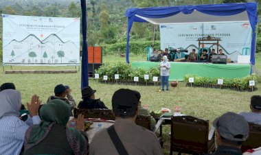 Puluhan Ribu Bibit Pohon di Tanam di Garut