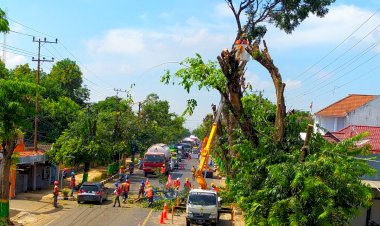 Hadapi Cuaca Ekstrem, Pelanggan Listrik Harus Lakukan Ini