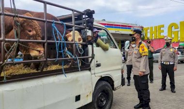 Jalur Distribusi Hewan ke Karawang Diperketat