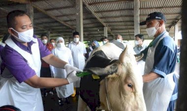 Realisasi Vaksin PMK Capai 4.081 Hewan Ternak di Kabupaten Bogor
