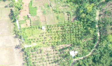 Pengembangan Agroforestry Cegah Abrasi di DAS Citarum