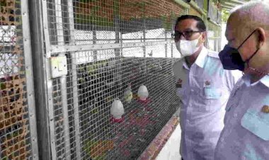 Jumlah 800 Dosis Vaksin Belum cukup untuk Vaksinasi PMK di Ciamis