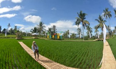 Kemenparekraf Targetkan 244 Desa Wisata Unggulan