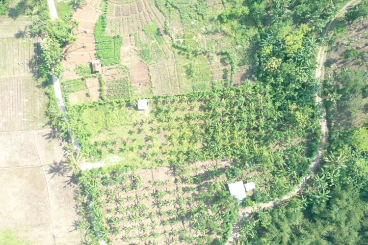 Pengembangan Agroforestry Cegah Abrasi di DAS Citarum