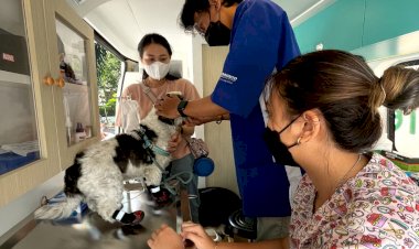 Pertama di Indonesia, Klinik Mobile Hewan Hadir di Bandung