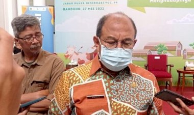 Soal Bantuan Peternak yang Terdampak PMK, Pemprov Jabar Tunggu Usulan Pemda