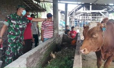 Babinsa Turun Tangan Monitoring PMK